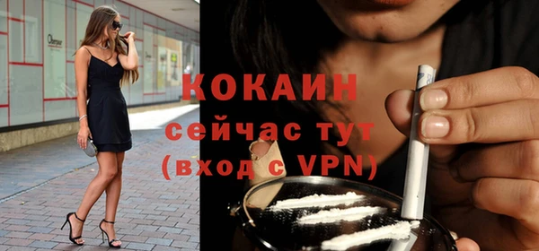 гидра Липки
