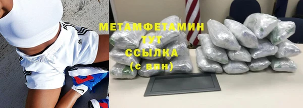 гидра Липки