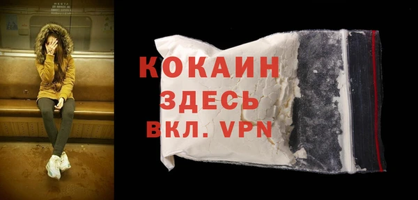 гидра Липки