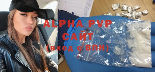 гидра Липки