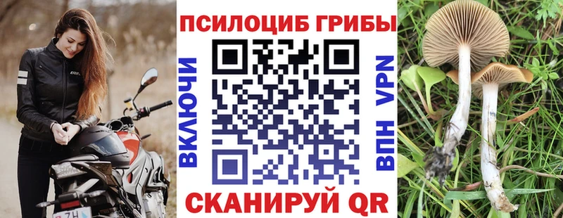 Галлюциногенные грибы MAGIC MUSHROOMS  купить наркотики цена  Славск 
