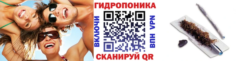 площадка состав  где продают наркотики  Славск  Шишки марихуана White Widow 